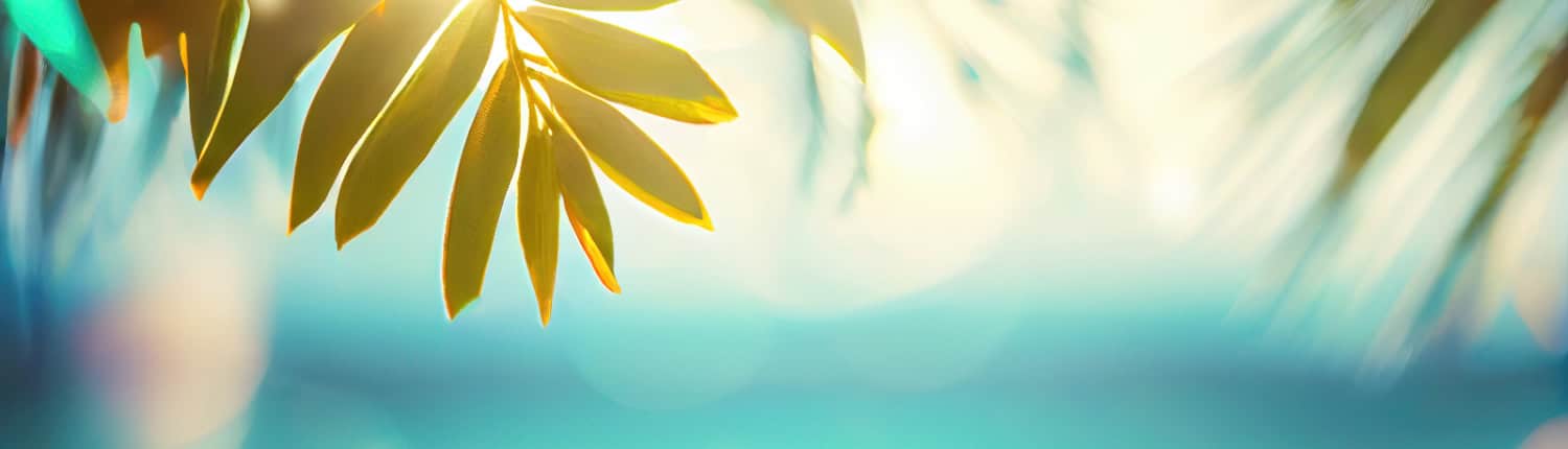 Beach Party Sound Header