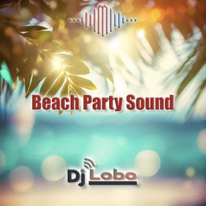 DJ Lobo Beach Party Sound Liste