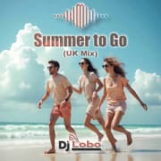 Summer to Go (UK Mix)